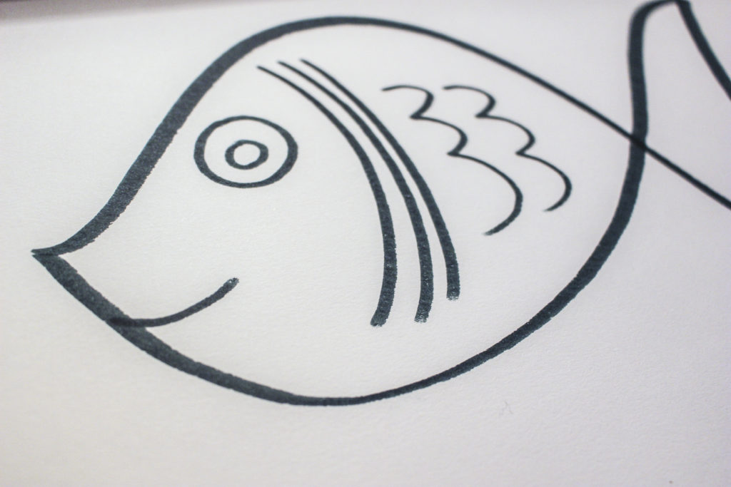 Close up of fish drawing