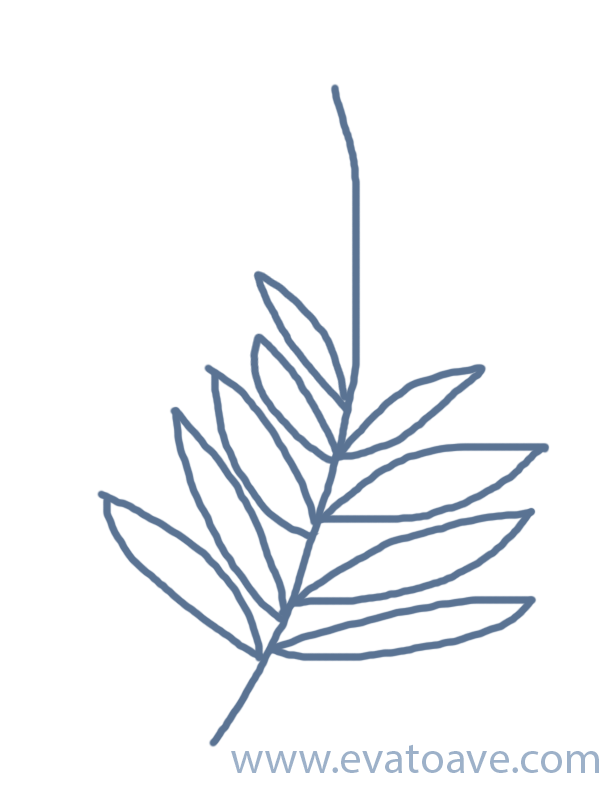 palm branch drawing