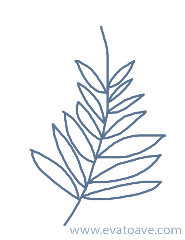 palm branch drawing