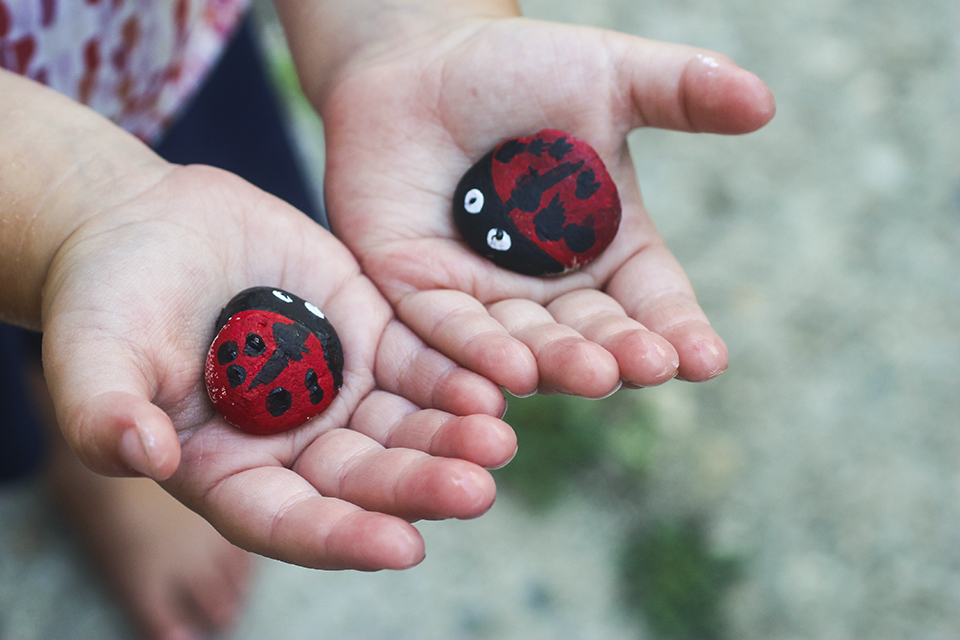Lady Bird Beetles Eva to Ave Painted on Rocks.png