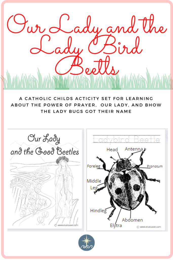 Our-Lady-and-the-Lady-Bird-Beetle-Pin.png
